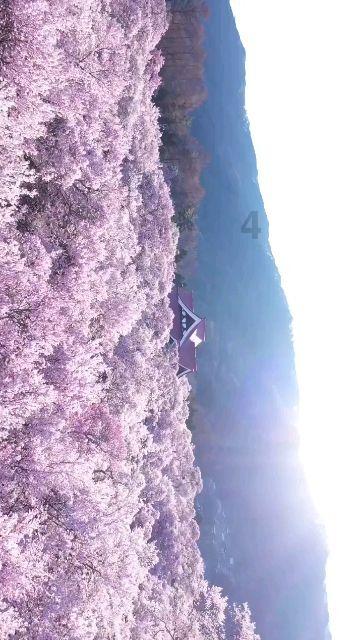 全民烧脑3去广告版