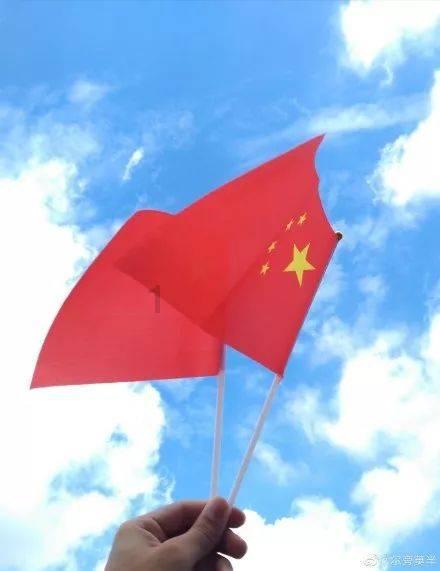 小猫钓鱼正版下载中文版