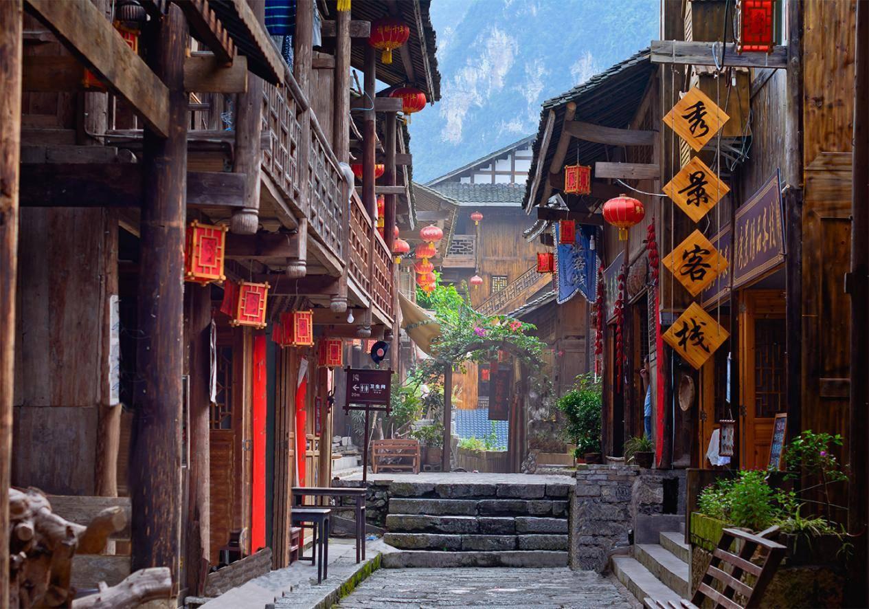 创作猫
